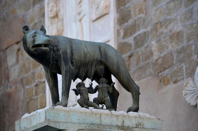 The Capitoline Wolf bronze sculpture in Rome