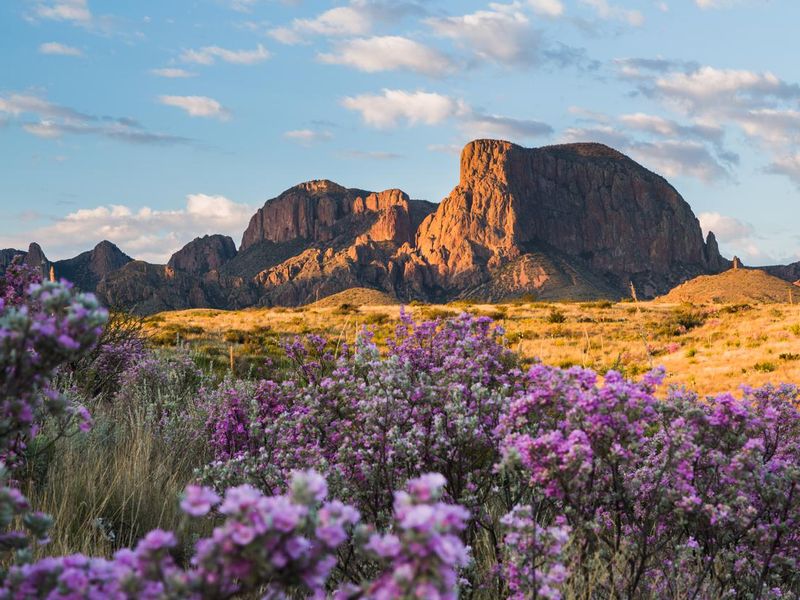 the Chisos in Big Bend, Texas