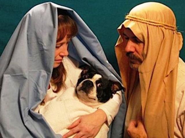 The nativity scene with a dog