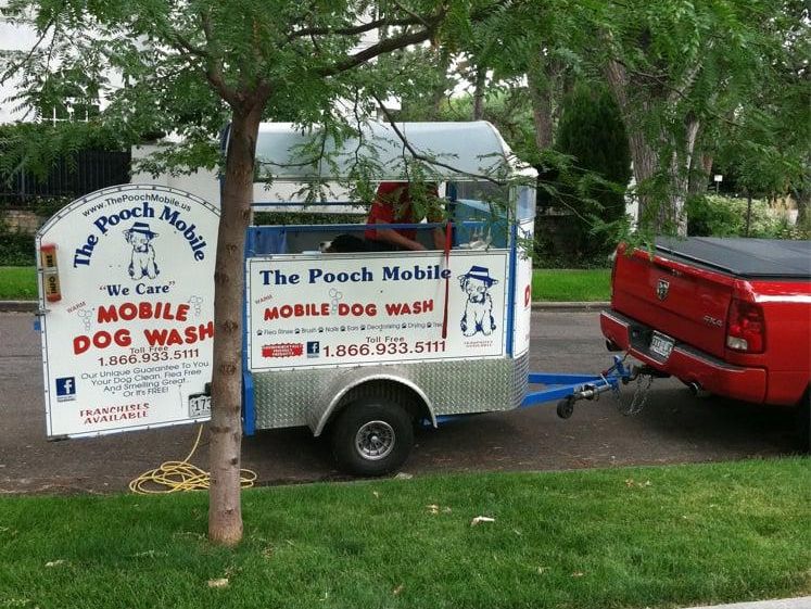The Pooch Mobile mobile dog grooming