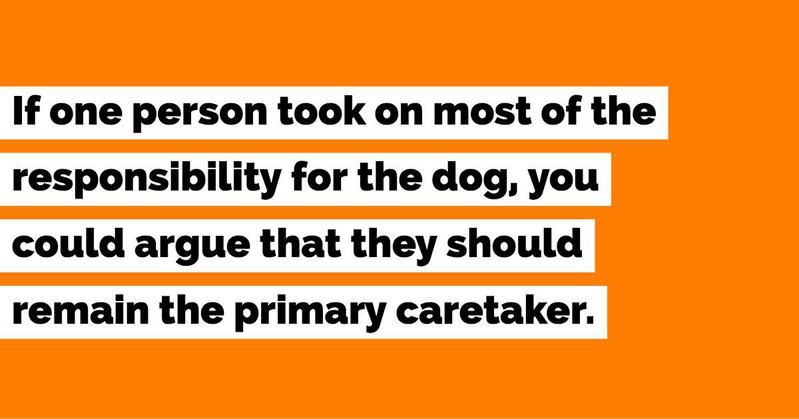 The Primary Caregiver Gets the Dog in a Divorce
