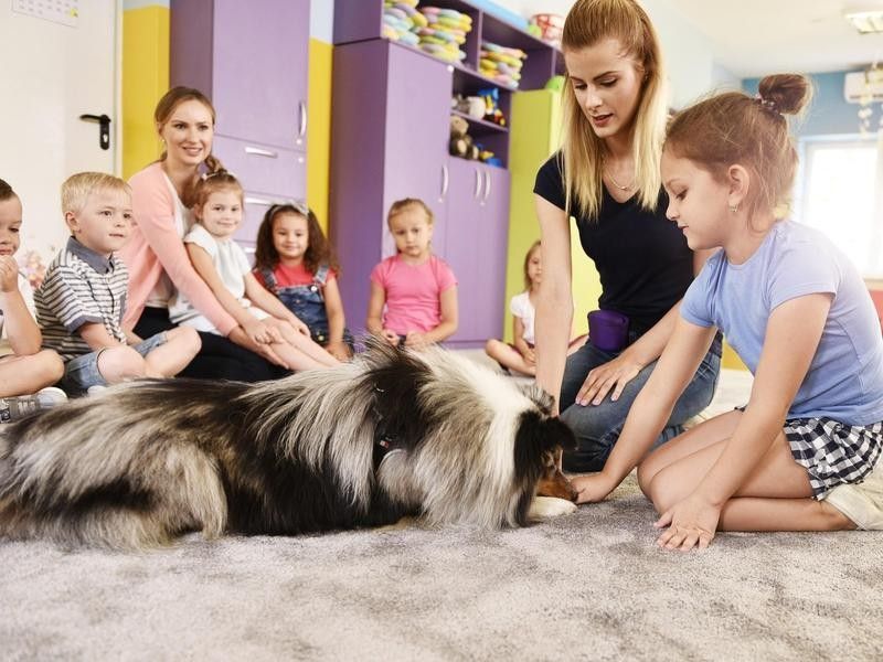 Therapy Dog Working with Kids