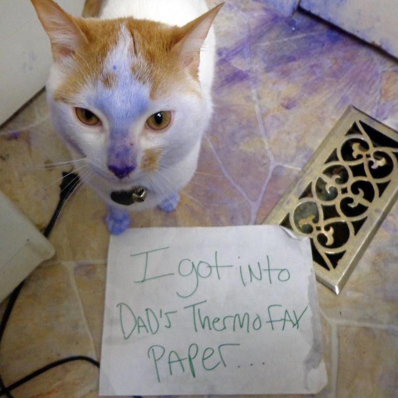thermofax paper