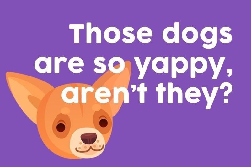 Those dogs are so yappy, aren’t they?