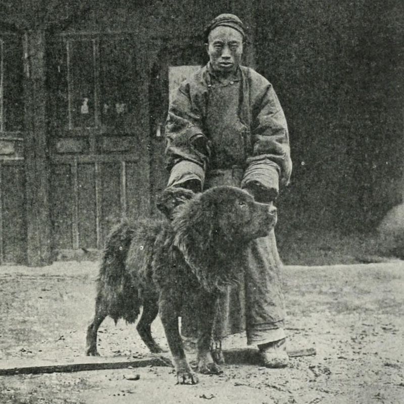 Tibetan and owner, 1911