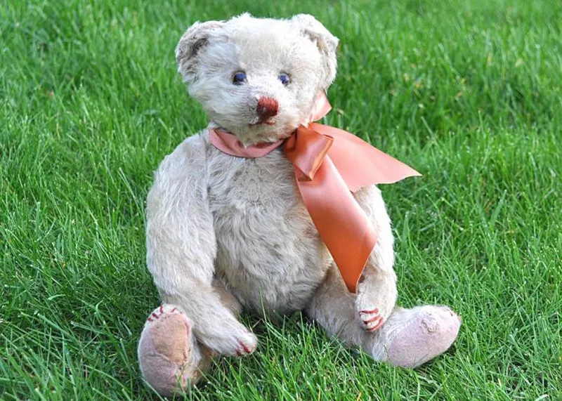 I found a rare teddy bear at a car boot sale - now I've sold it for an  eye-watering price