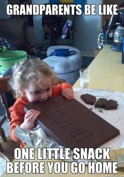 Toddler eating a giant chocolate bar