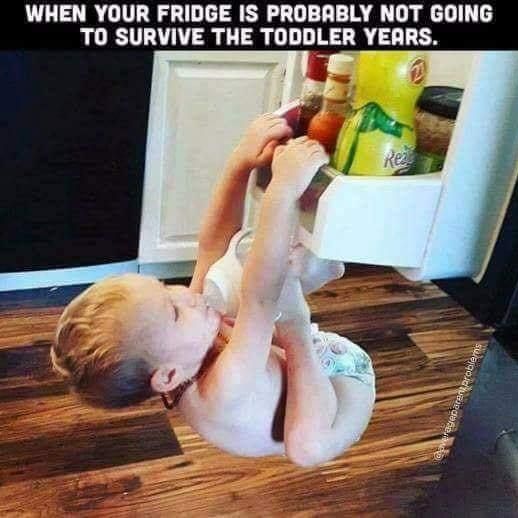 Toddler hanging from fridge