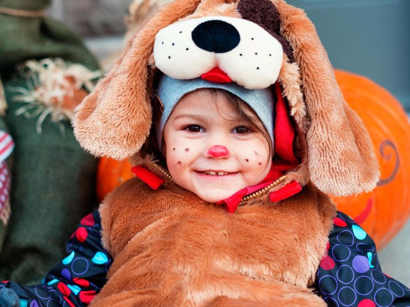 Toddler in dog costume