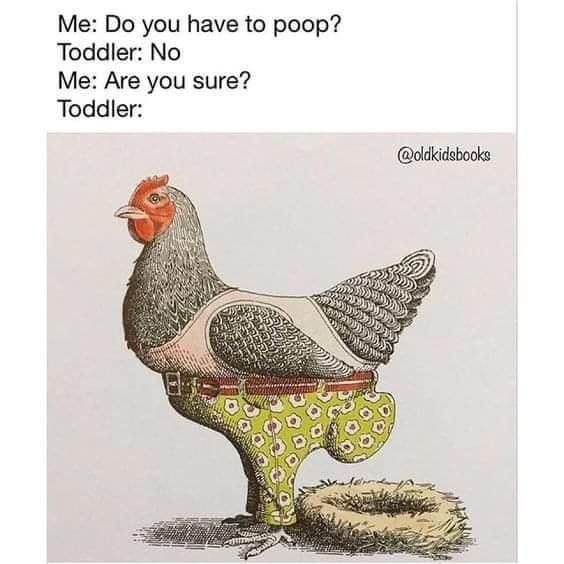 Toddler with a full diaper chicken meme