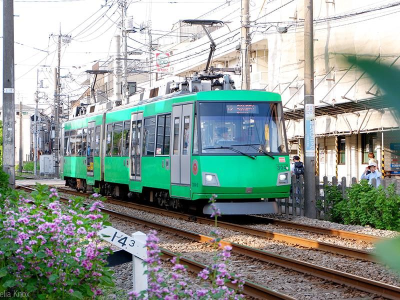 Tokyu-Setagaya Line
