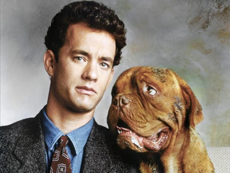 Tom Hanks and Beasley the Dog in Turner & Hooch