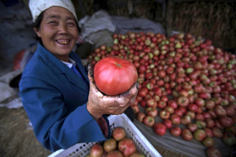 Tomatoes in China