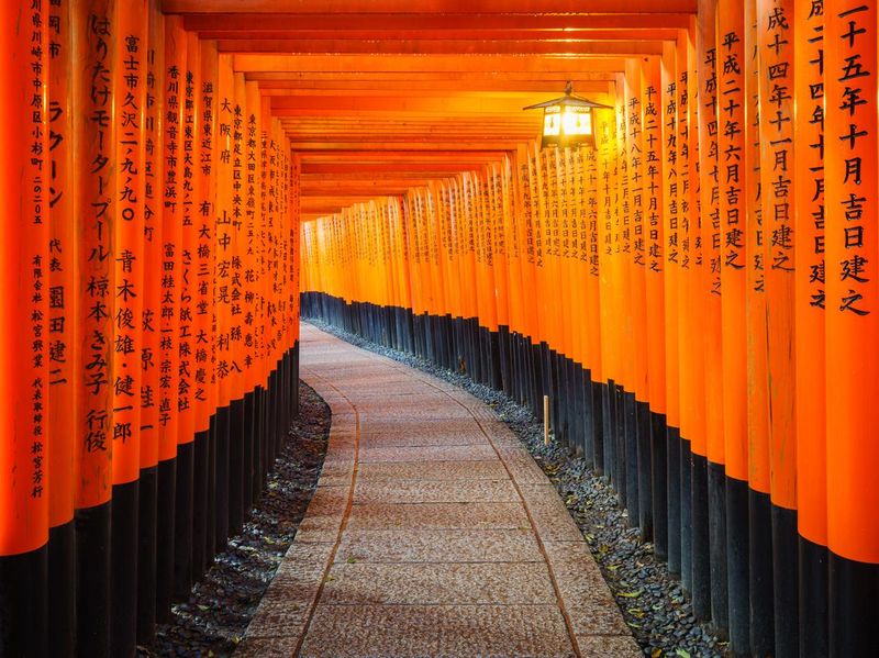 Torii gates in Kyoto's Fushimi Inari Shrine, Japan