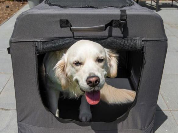 Tractor Supply dog kennel: Heininger PortablePet Soft Crate Portable Dog House