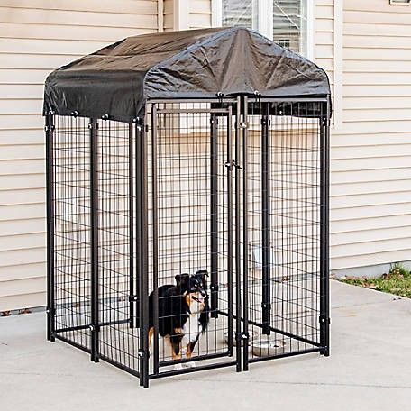 Tractor Supply dog kennel: Pet Essentials Premium Welded Wire Kennel