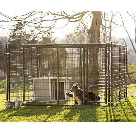 Tractor Supply dog kennel: Tarter Farm and Ranch Equipment Heavy-Duty Dog Kennel