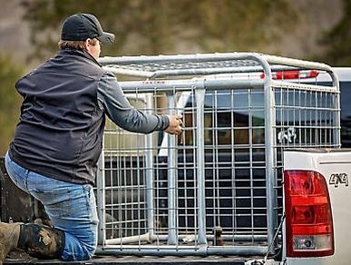 Tractor Supply dog kennel: Tarter Farm and Ranch Equipment Small Animal Transporter
