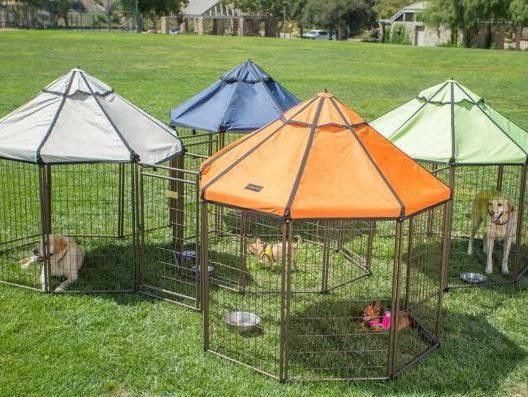 Tractor Supply Dog Kennels