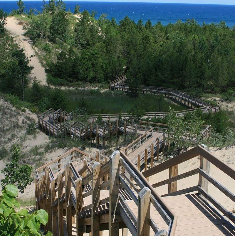 Trail view at Indiana Dunes National Park