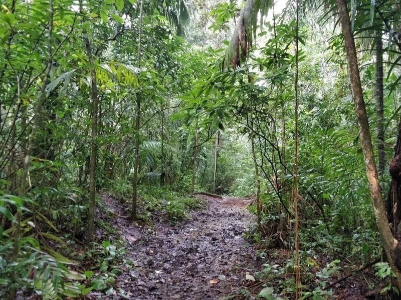 TransPanama Trail
