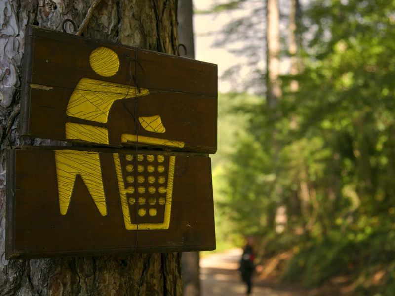 trash sign in woods