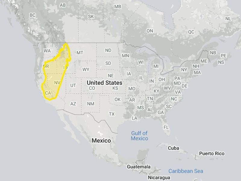 True size of Madagascar compared to the U.S.