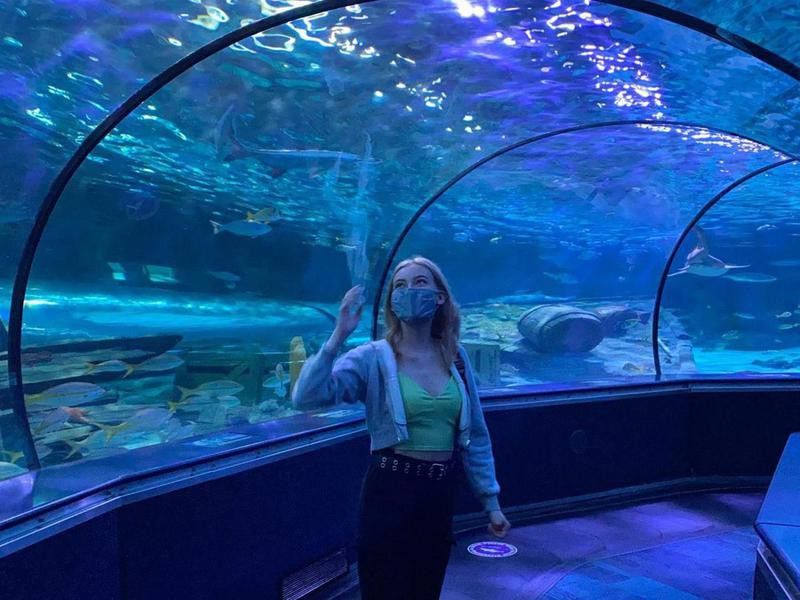 Tunnel at Ripley’s Aquarium of Myrtle Beach
