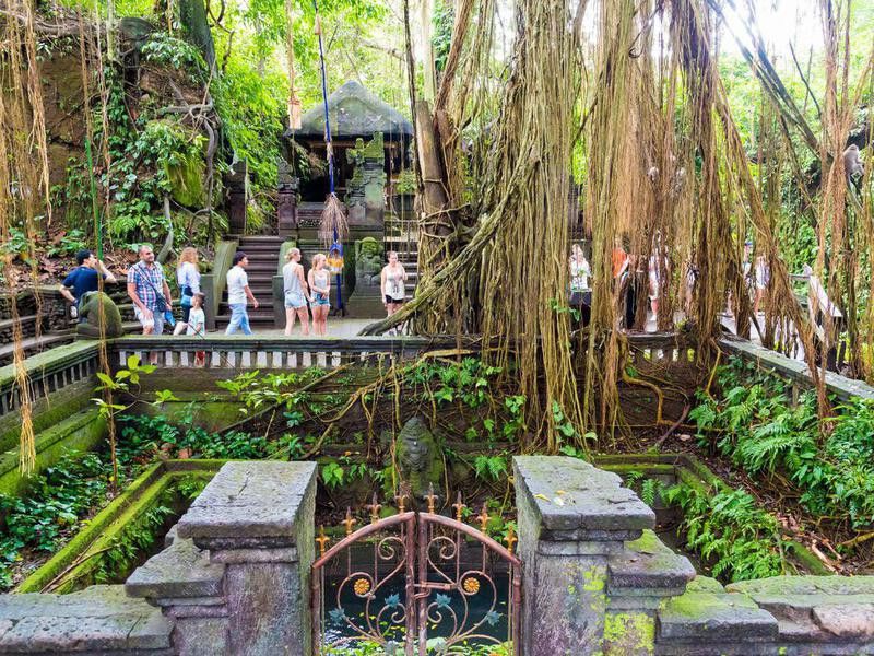 Ubud Sacred Monkey Forest, Bali