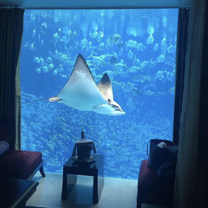 Underwater hotel in Dubai