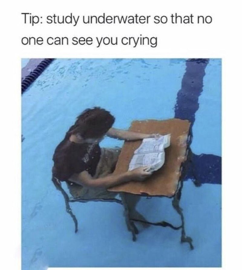 Underwater studying crying meme