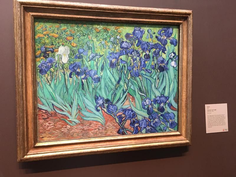 Van Gogh’s “Irises”