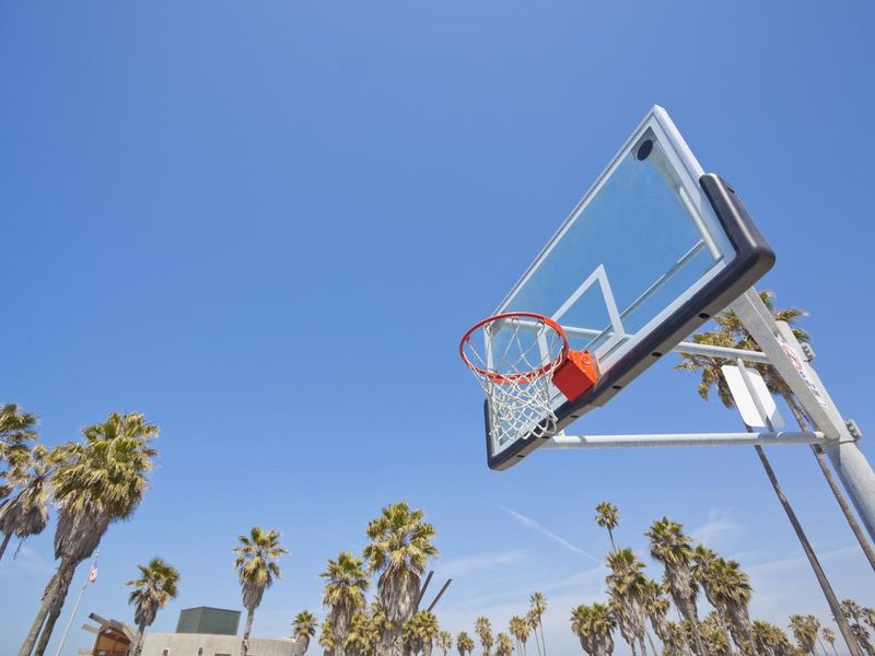 Venice Beach Basketball
