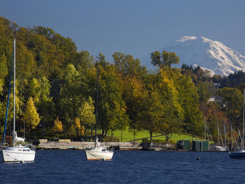 View of fall foliage and Mt. Rainier from Lake Washington in Seattle, Washington