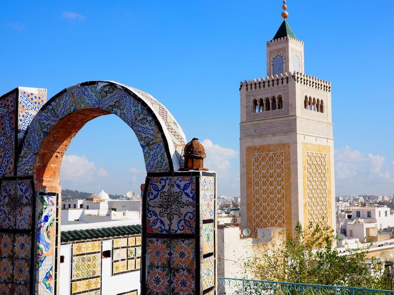 View over Tunis skyline with famous mosque