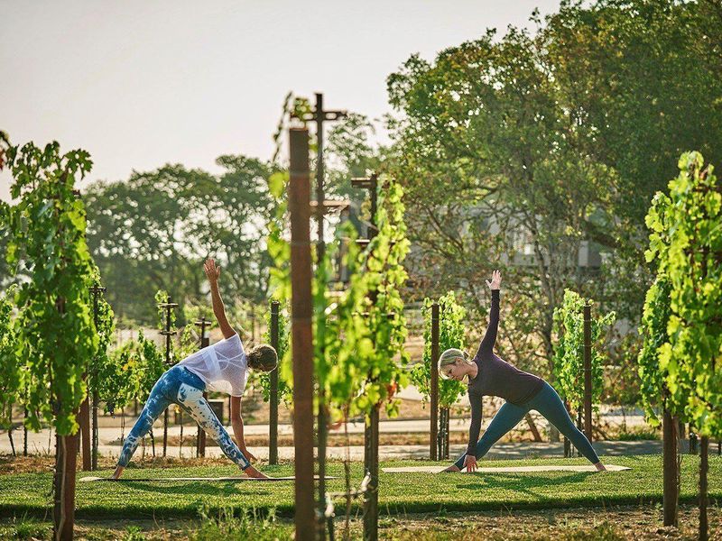 Vineyard yoga in Montage Healdsburg