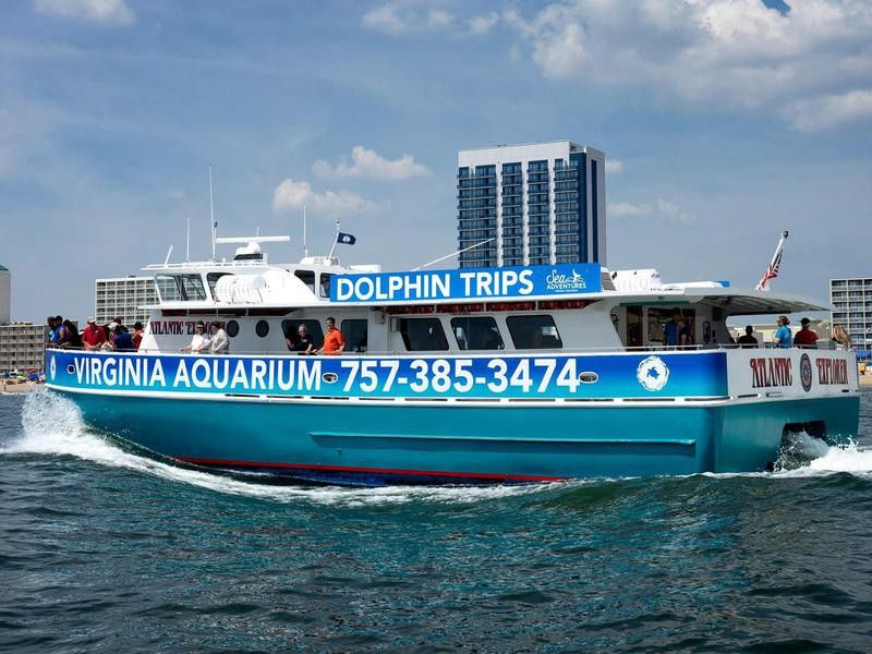 Virginia Aquarium & Marine Science Center Dolphin Boat