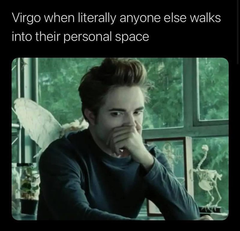 30 Funny Virgo Memes That Totally Get This Practical Sign | FamilyMinded