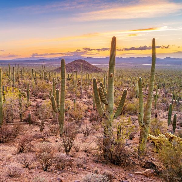 What Is the Most Beautiful Arizona National Park?