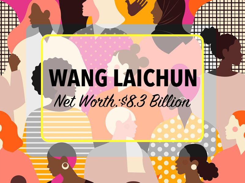 Wang Laichun net worth