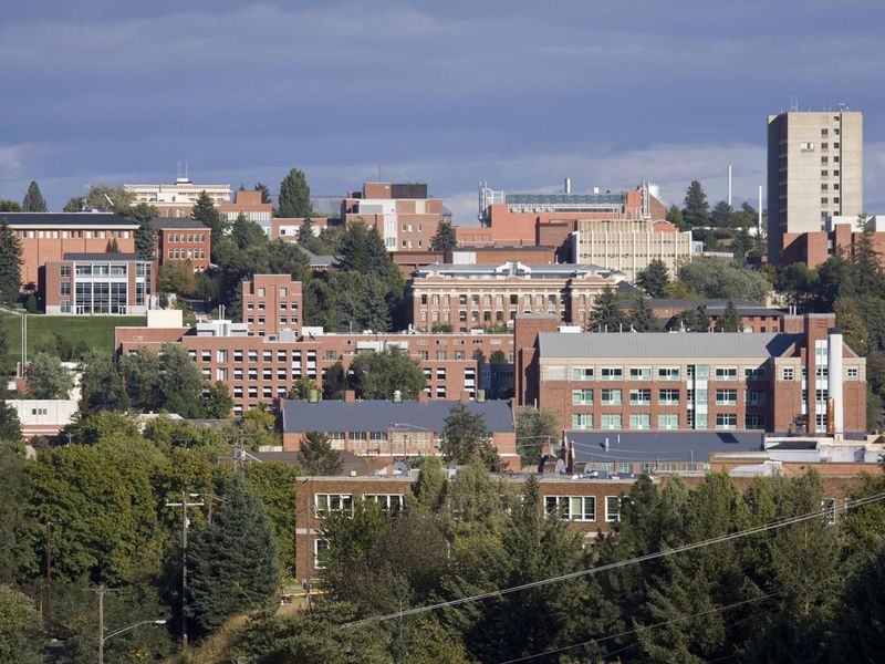 Washington State University in Pullman, Washington