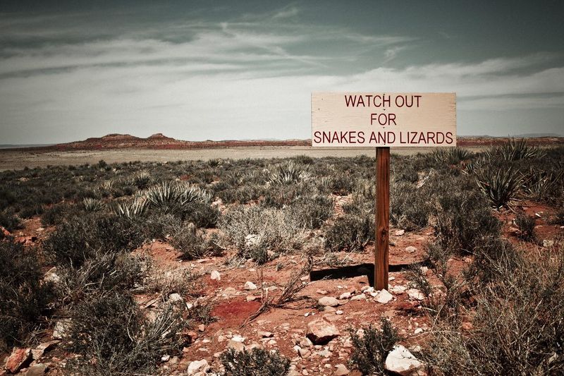 Watch out for snakes and lizards sign