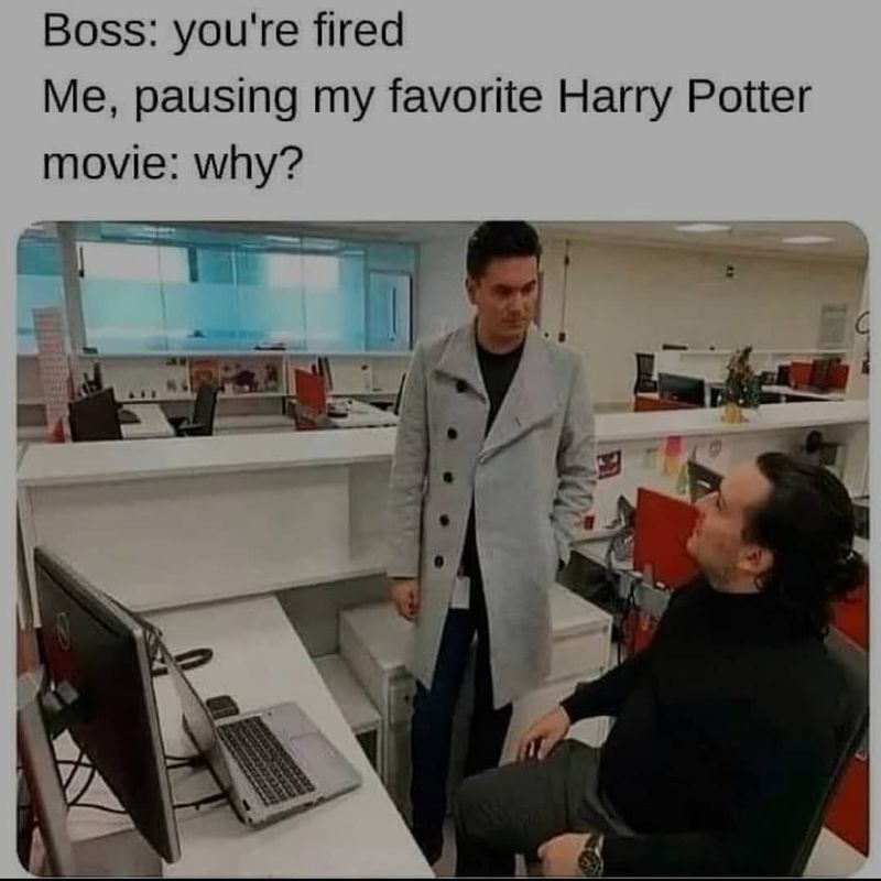 Watching Harry Potter at work meme
