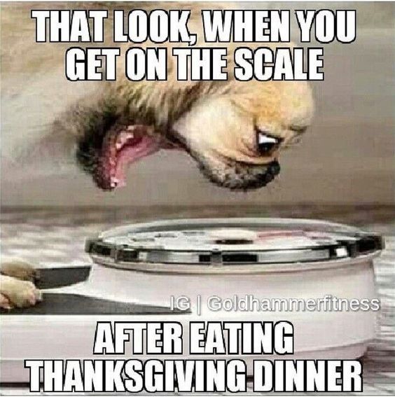 Weighing yourself after Thanksgiving meme