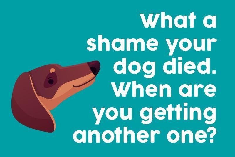 What a shame your dog died. When are you getting another one?