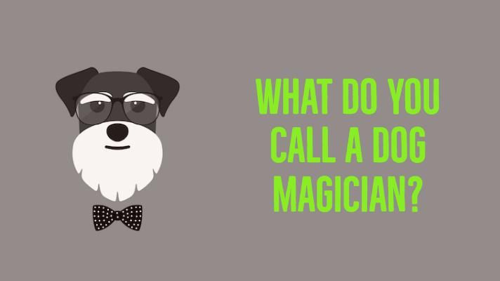 What do you call a dog magician?