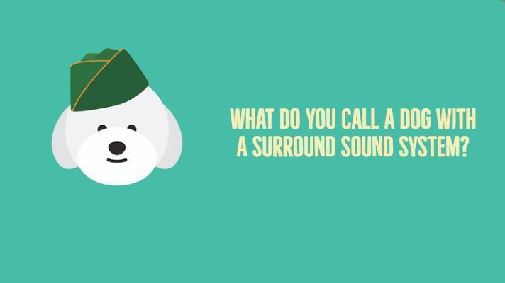 What do you call a dog with a surround sound system?