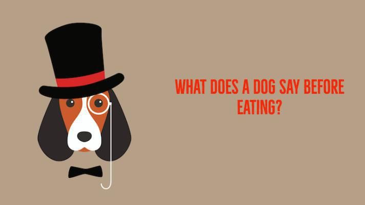 What does a dog say before eating?
