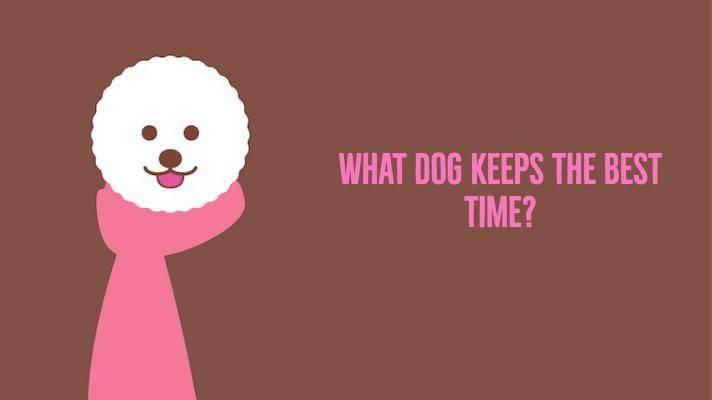 What dog keeps the best time?