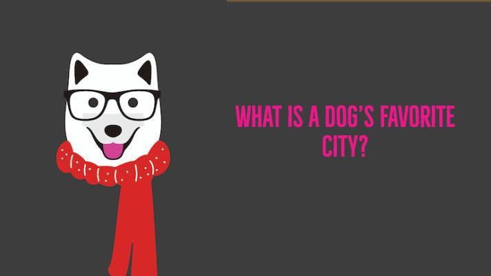 What is a dog’s favorite city?